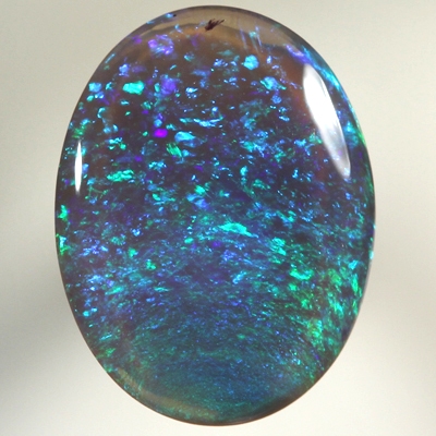 SOLID BLACK CRYSTAL OPAL Bright Floral Harlequin pattern